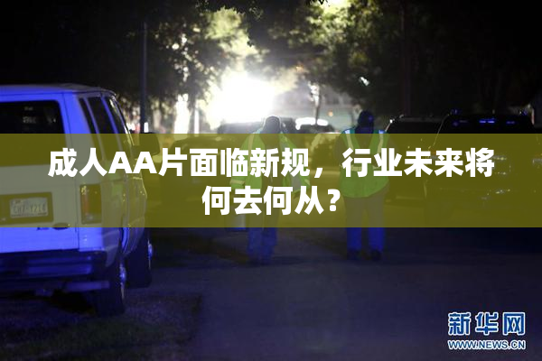 成人AA片面临新规，行业未来将何去何从？