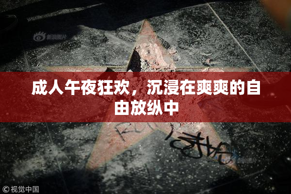 成人午夜狂欢，沉浸在爽爽的自由放纵中