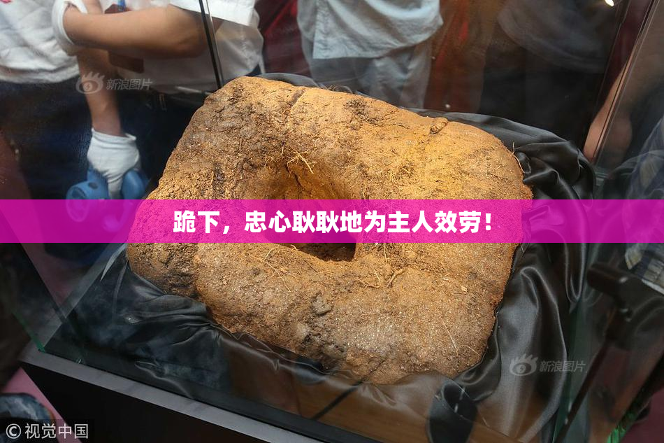 跪下，忠心耿耿地为主人效劳！