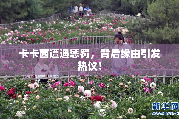 卡卡西遭遇惩罚，背后缘由引发热议！