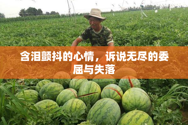 含泪颤抖的心情，诉说无尽的委屈与失落