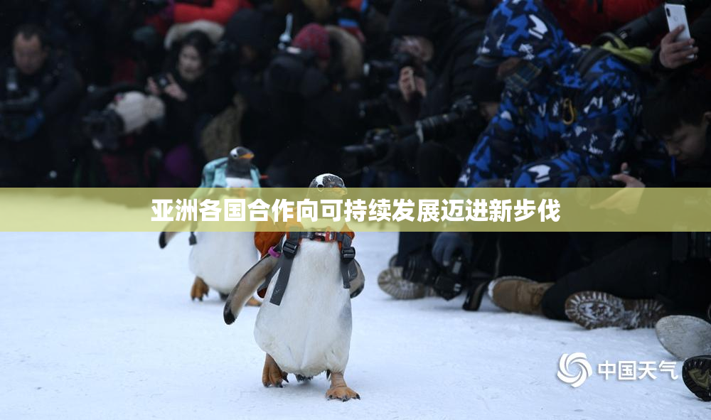 亚洲各国合作向可持续发展迈进新步伐