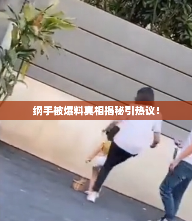 纲手被爆料真相揭秘引热议！