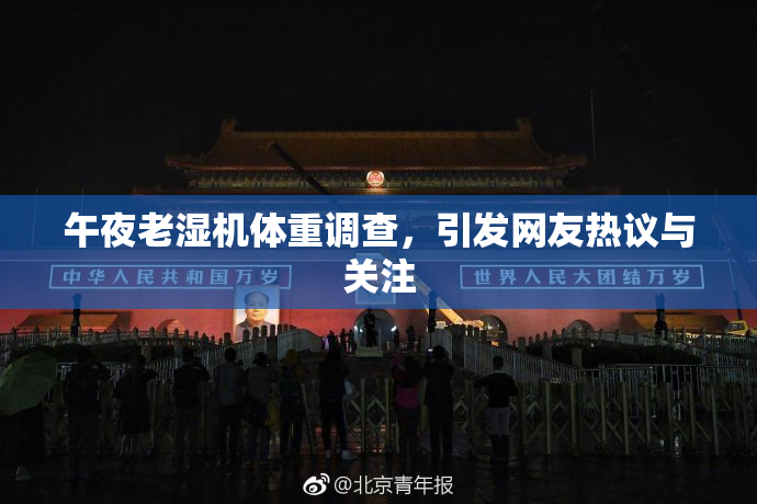 午夜老湿机体重调查，引发网友热议与关注
