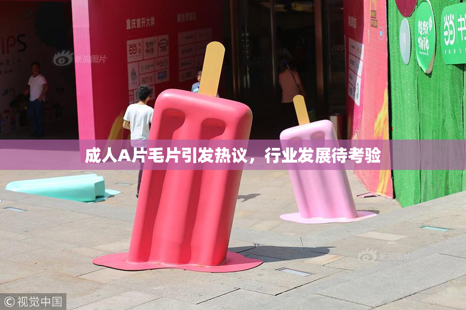 成人A片毛片引发热议，行业发展待考验