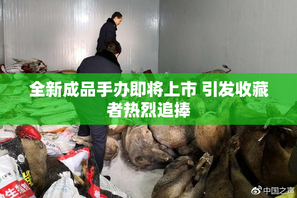 全新成品手办即将上市 引发收藏者热烈追捧