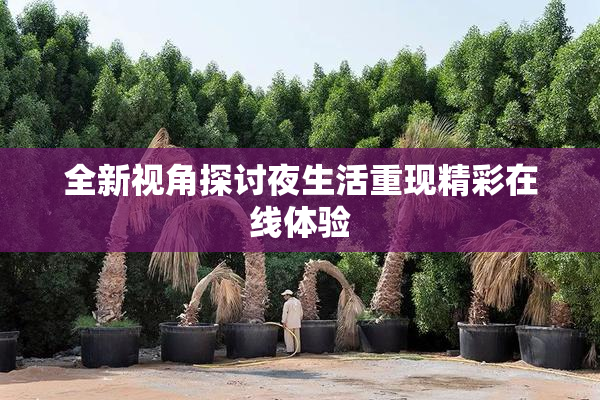 全新视角探讨夜生活重现精彩在线体验