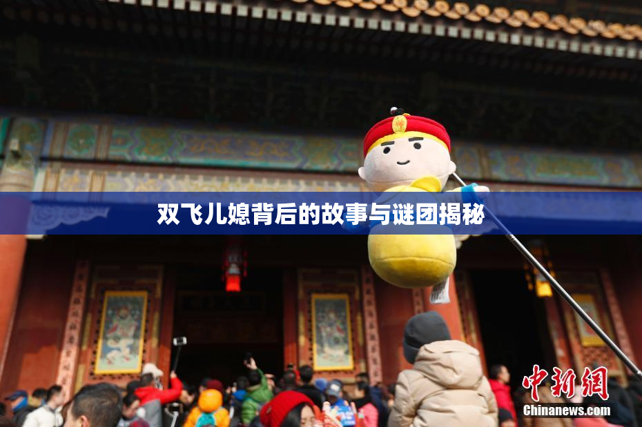 双飞儿媳背后的故事与谜团揭秘