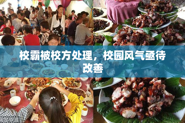 校霸被校方处理，校园风气亟待改善