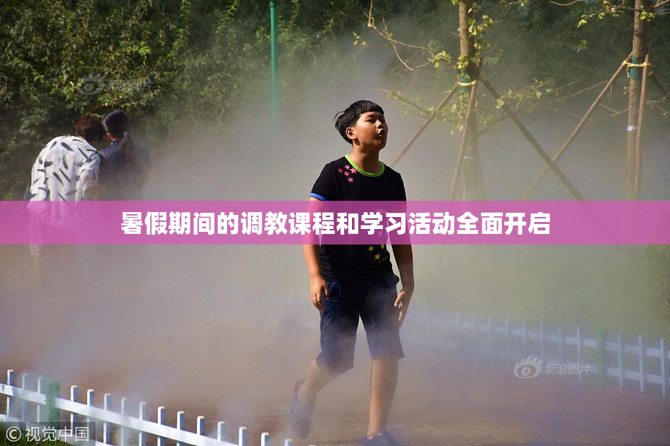 暑假期间的调教课程和学习活动全面开启