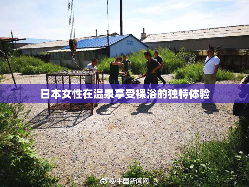 日本女性在温泉享受裸浴的独特体验