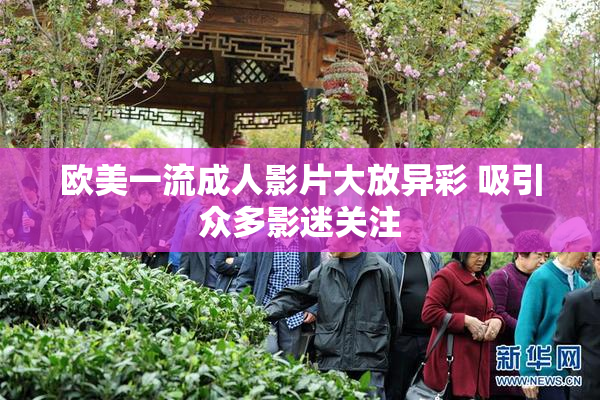 欧美一流成人影片大放异彩 吸引众多影迷关注