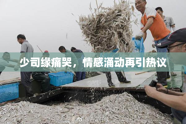 少司缘痛哭，情感涌动再引热议