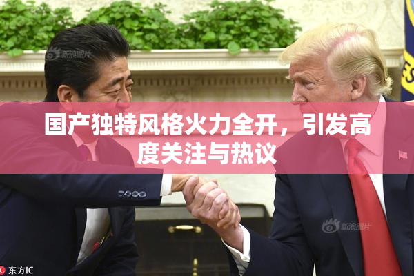 国产独特风格火力全开，引发高度关注与热议