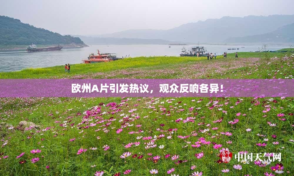 欧州A片引发热议，观众反响各异！