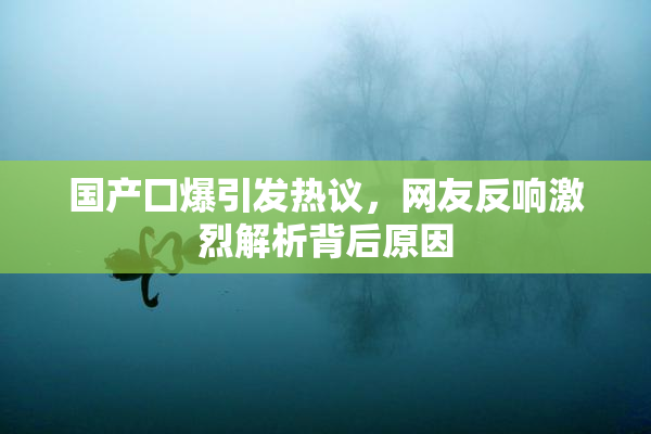 国产囗爆引发热议，网友反响激烈解析背后原因