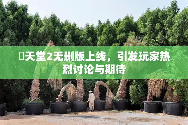 妺天堂2无删版上线，引发玩家热烈讨论与期待