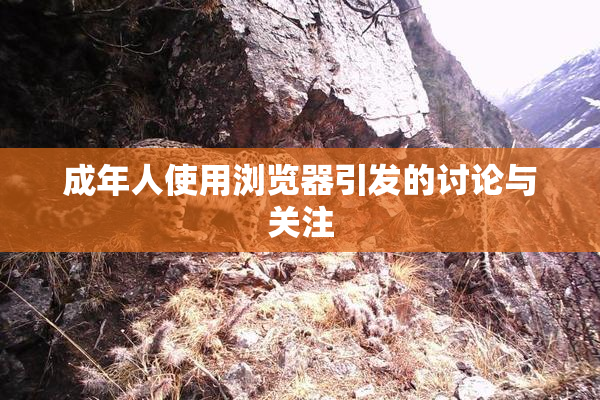 成年人使用浏览器引发的讨论与关注