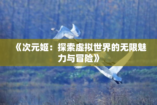 《次元姬：探索虚拟世界的无限魅力与冒险》