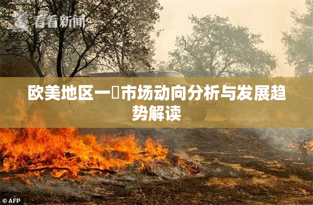 欧美地区一級市场动向分析与发展趋势解读