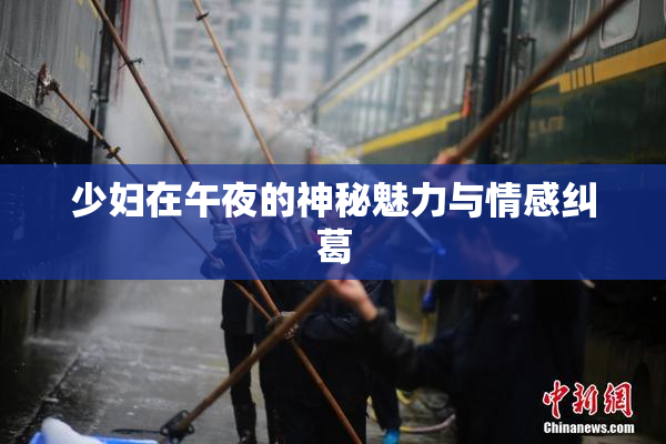 少妇在午夜的神秘魅力与情感纠葛