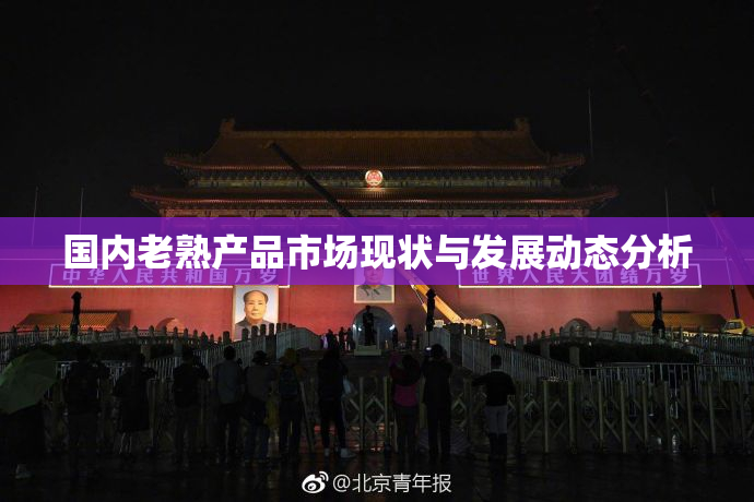 国内老熟产品市场现状与发展动态分析