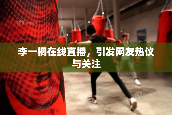 李一桐在线直播，引发网友热议与关注