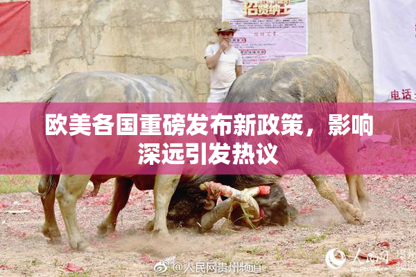 欧美各国重磅发布新政策，影响深远引发热议