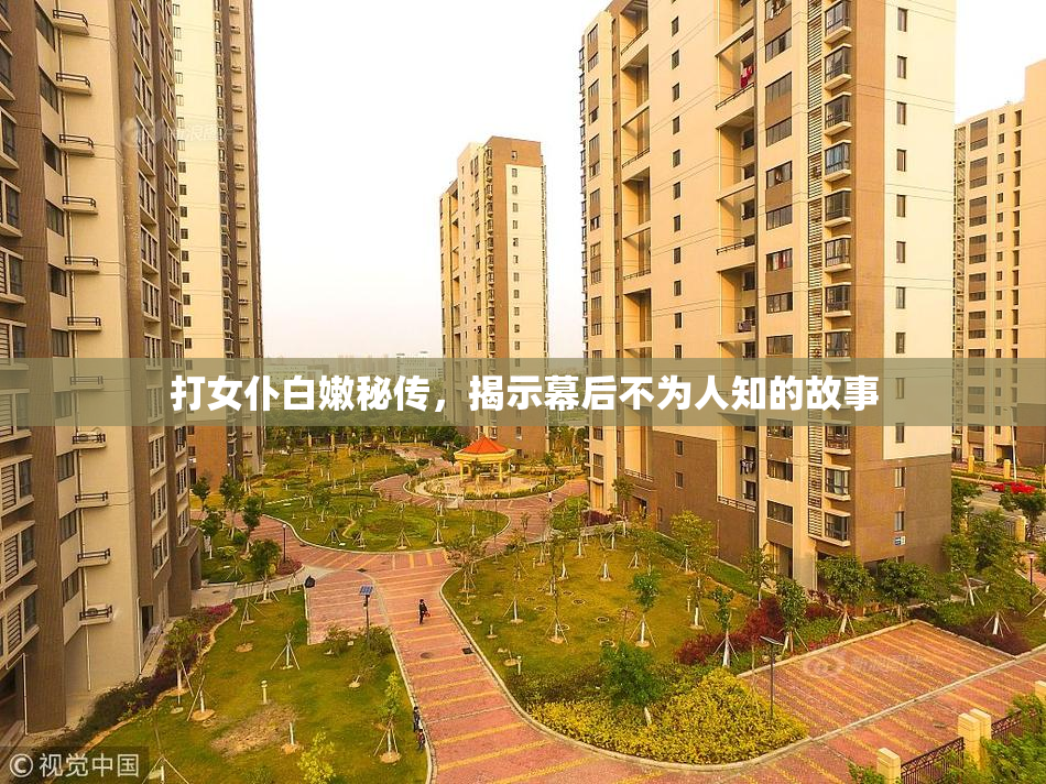 打女仆白嫩秘传，揭示幕后不为人知的故事