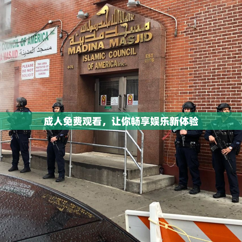 成人免费观看，让你畅享娱乐新体验