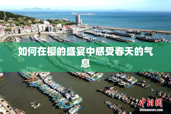 如何在樱的盛宴中感受春天的气息