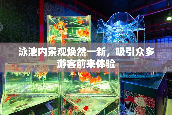 泳池内景观焕然一新，吸引众多游客前来体验