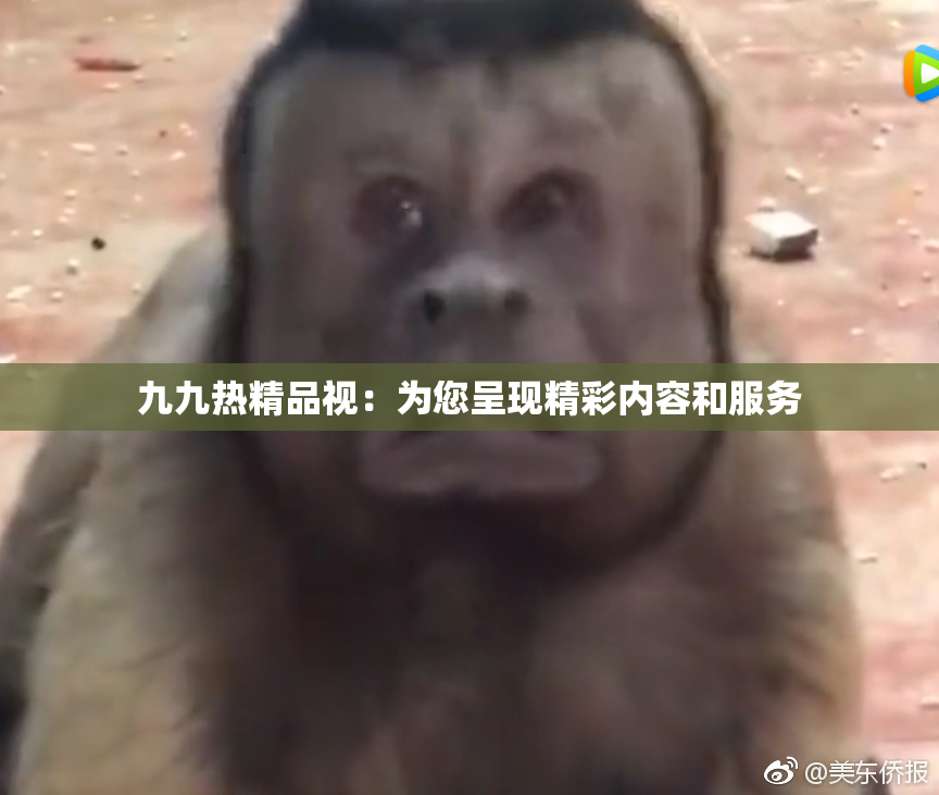 九九热精品视：为您呈现精彩内容和服务