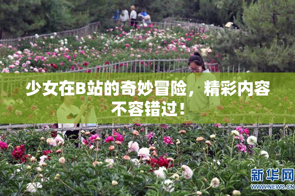 少女在B站的奇妙冒险，精彩内容不容错过！