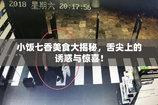 小饭七香美食大揭秘，舌尖上的诱惑与惊喜！