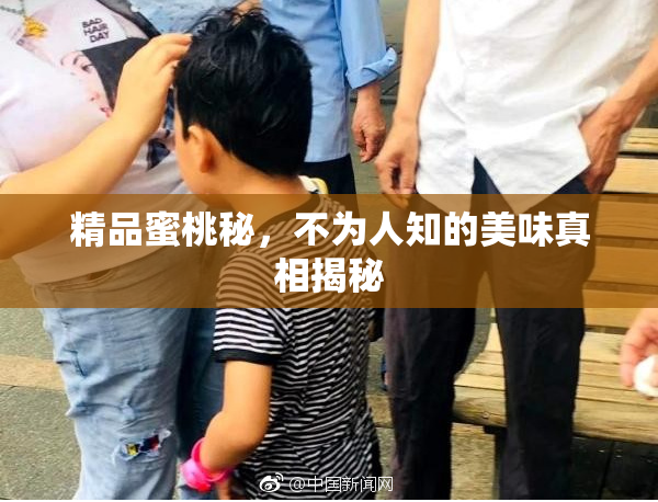 精品蜜桃秘，不为人知的美味真相揭秘