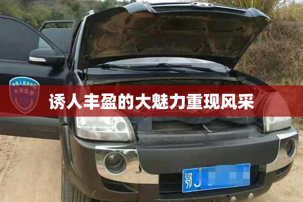 诱人丰盈的大魅力重现风采