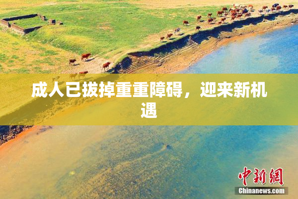 成人已拔掉重重障碍，迎来新机遇