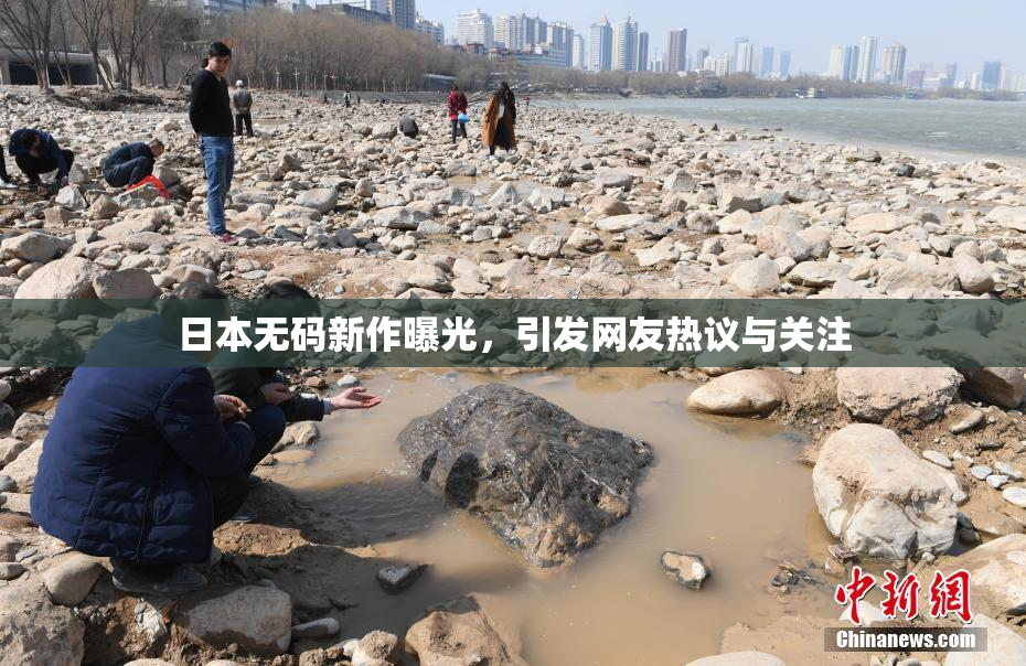 日本无码新作曝光，引发网友热议与关注