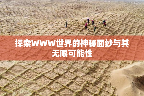 探索WWW世界的神秘面纱与其无限可能性
