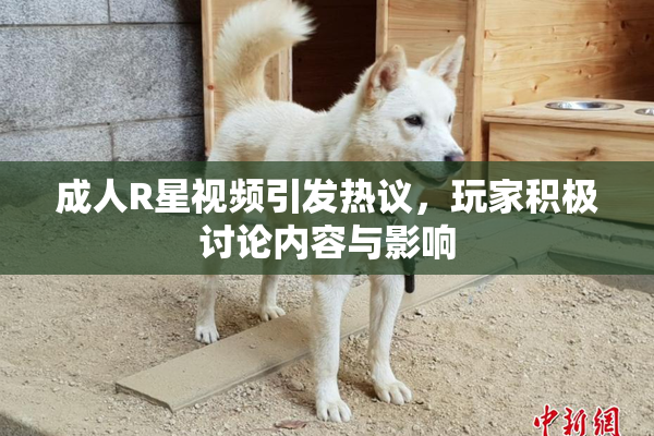 成人R星视频引发热议，玩家积极讨论内容与影响