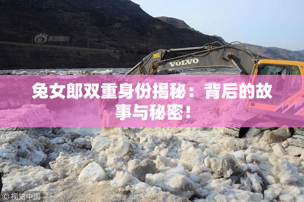 兔女郎双重身份揭秘：背后的故事与秘密！