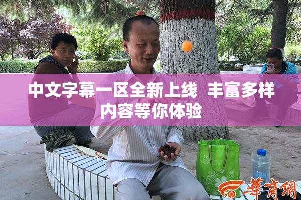 中文字幕一区全新上线  丰富多样内容等你体验