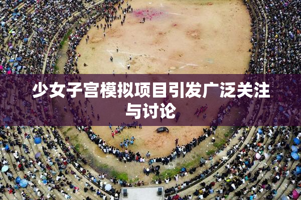 少女子宫模拟项目引发广泛关注与讨论