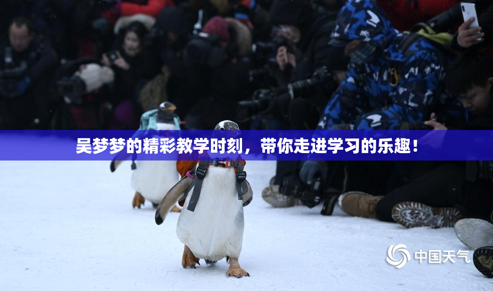 吴梦梦的精彩教学时刻，带你走进学习的乐趣！