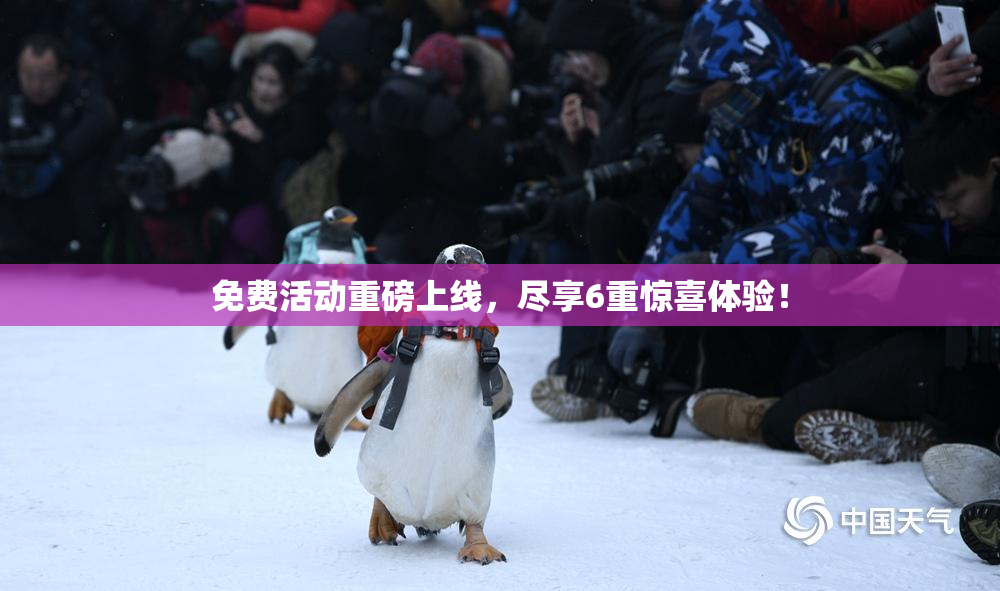 免费活动重磅上线，尽享6重惊喜体验！