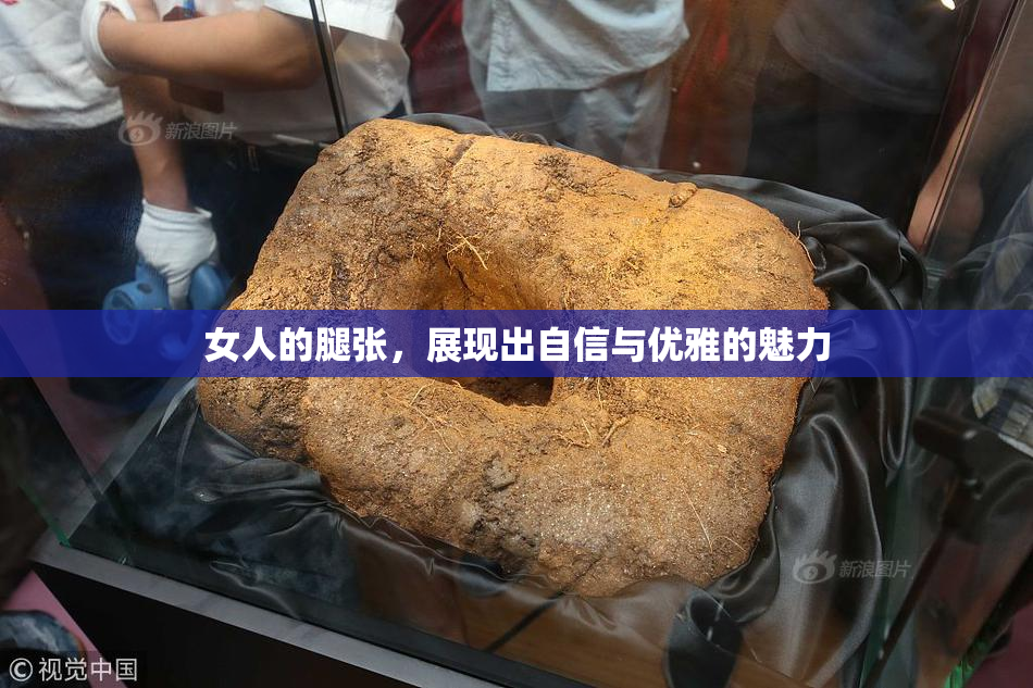 女人的腿张，展现出自信与优雅的魅力