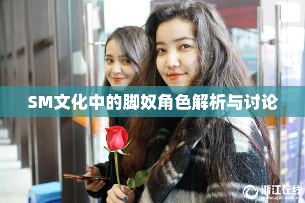 SM文化中的脚奴角色解析与讨论