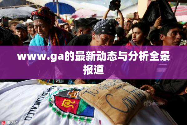 www.ga的最新动态与分析全景报道