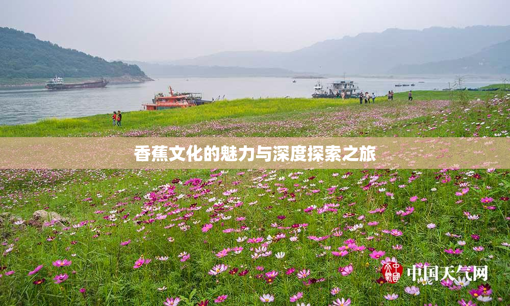 香蕉文化的魅力与深度探索之旅